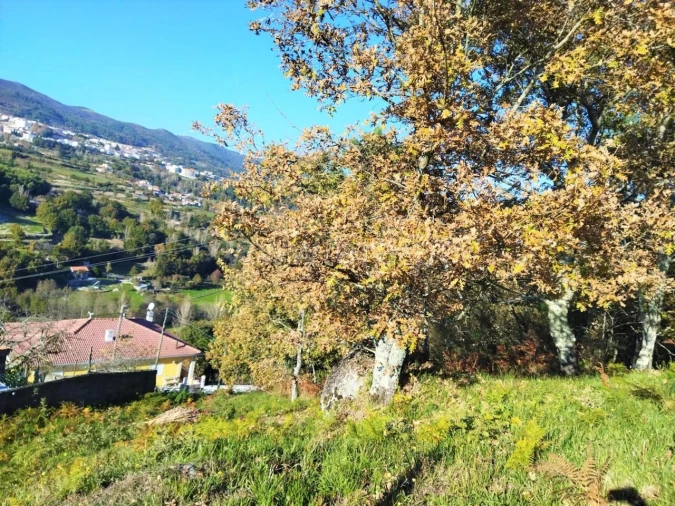 Terreno para Venda em Campelo e Ovil