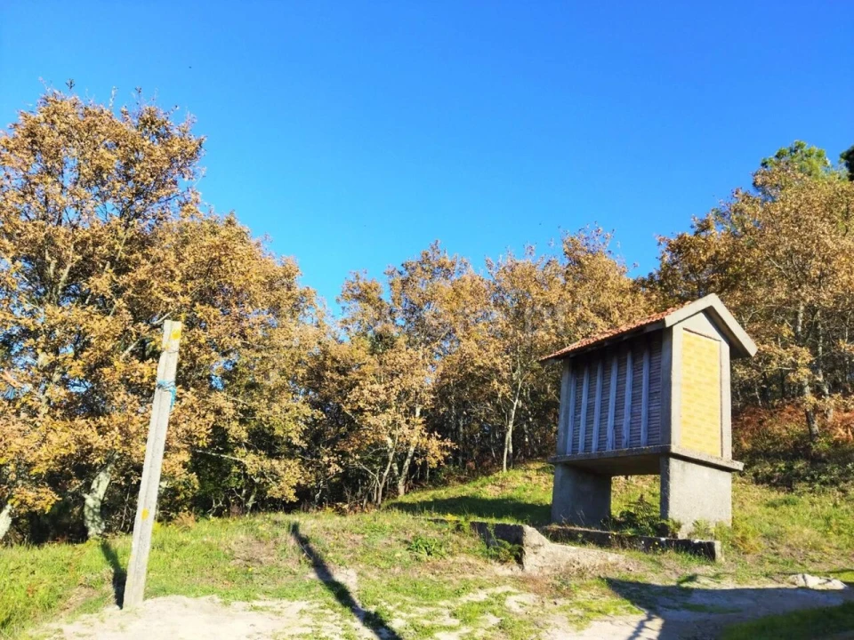 Terreno para Venda em Campelo e Ovil Foto 3