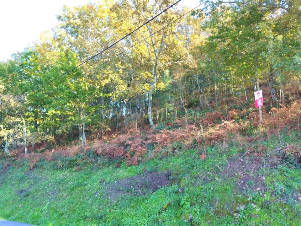 Terreno para Venda em Campelo e Ovil Foto 5