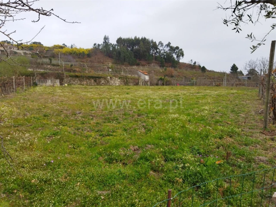Terreno para Venda em Baião (Santa Leocádia) e Mesquinhata Foto 2