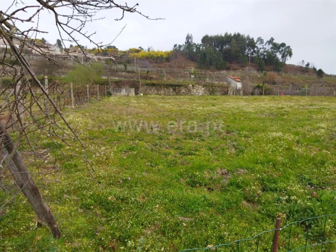 Terreno para Venda em Baião (Santa Leocádia) e Mesquinhata Foto 3