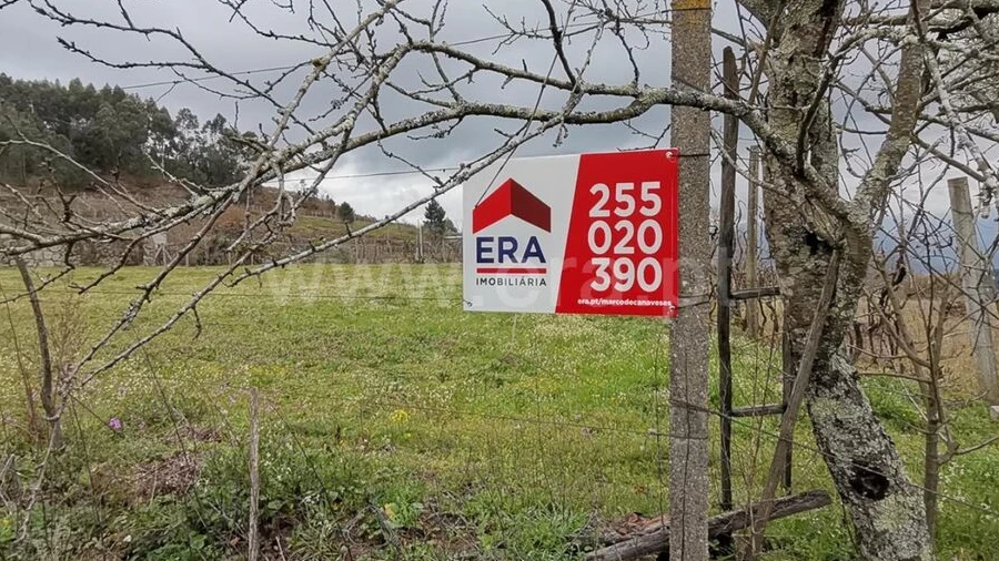 Terreno para Venda em Baião (Santa Leocádia) e Mesquinhata