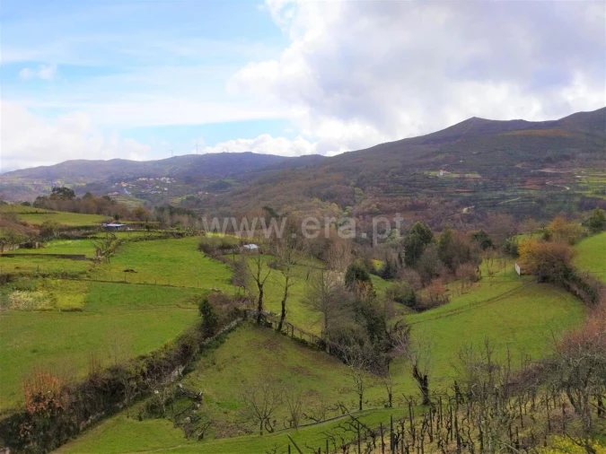 Terreno para Venda em Campelo e Ovil Foto 2