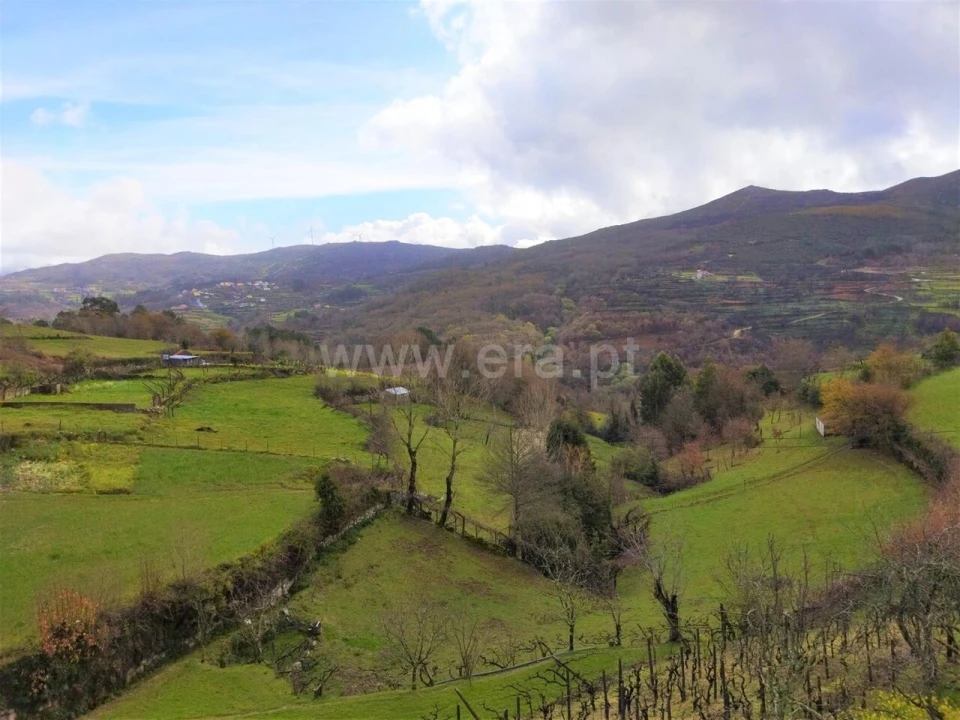 Terreno para Venda em Campelo e Ovil Foto 2