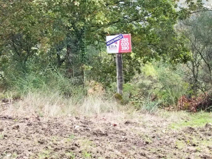 Terreno para Venda em Campelo e Ovil Foto 4