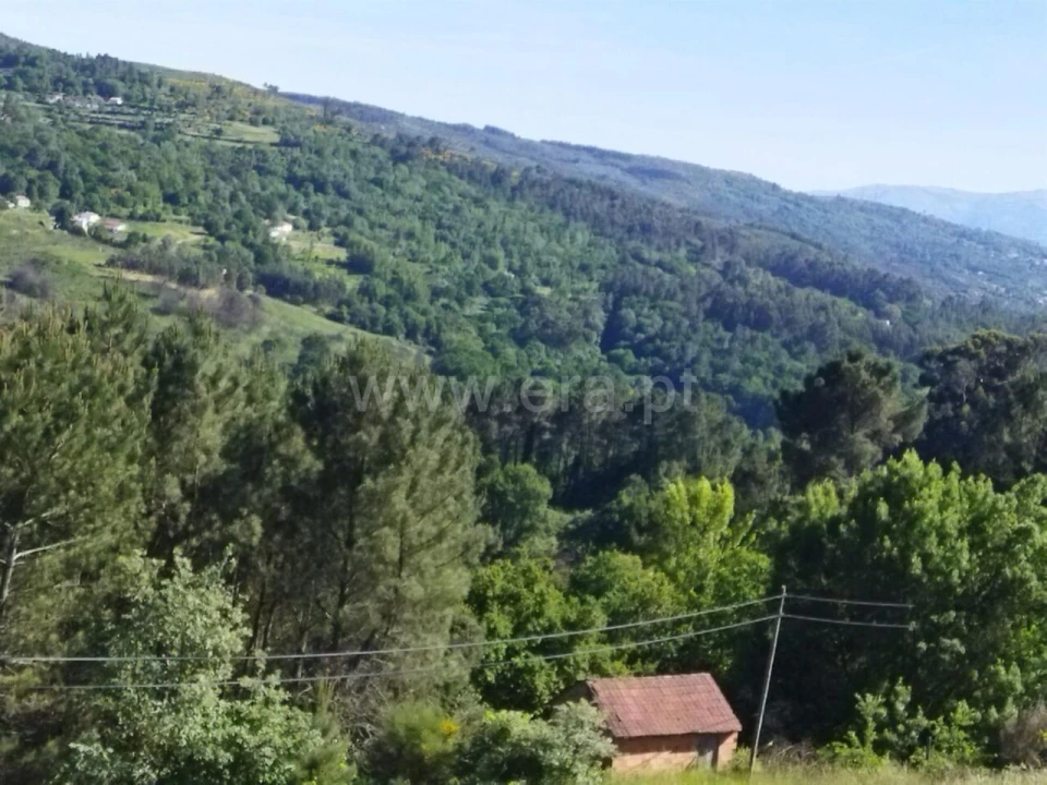 Terreno para Venda em Campelo e Ovil Foto 2