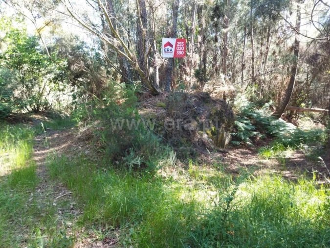 Terreno para Venda em Campelo e Ovil Foto 7