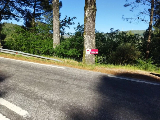 Terreno para Venda em Campelo e Ovil