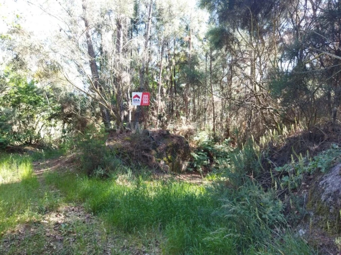Terreno para Venda em Campelo e Ovil Foto 2