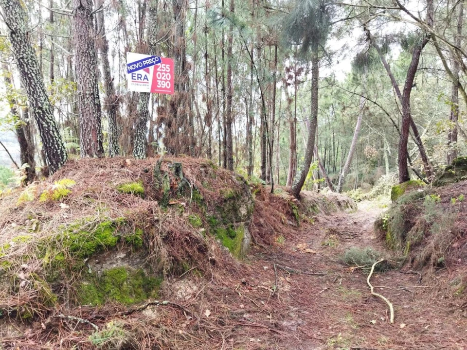 Terreno para Venda em Campelo e Ovil Foto 5