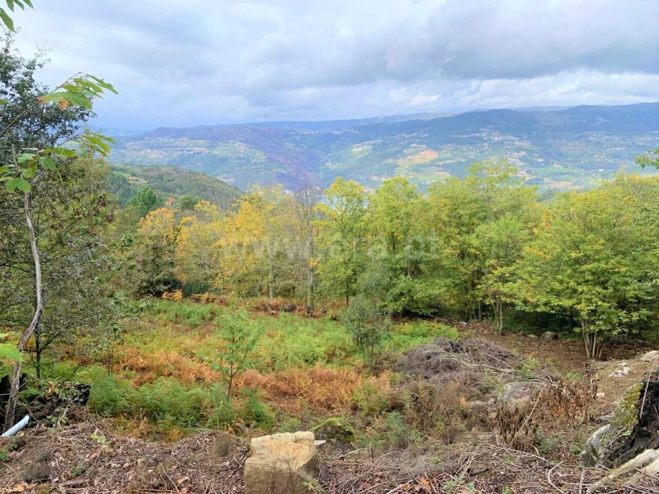 Terreno para Venda em Anreade e São Romão de Aregos Foto 6