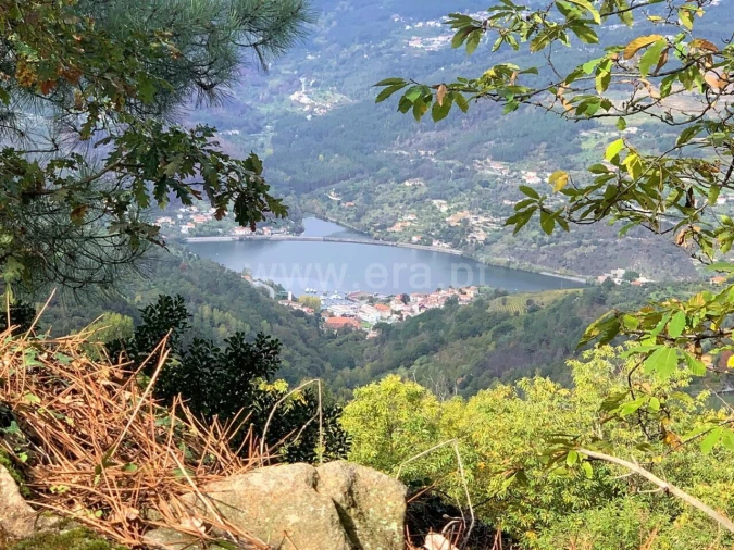 Terreno para Venda em Anreade e São Romão de Aregos Foto 12