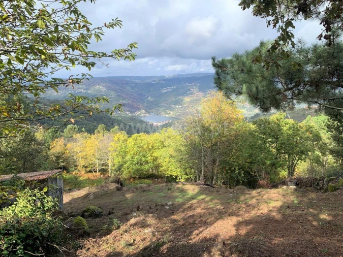 Terreno para Venda em Anreade e São Romão de Aregos Foto 11