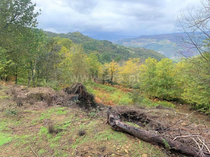 Terreno para Venda em Anreade e São Romão de Aregos Foto 3