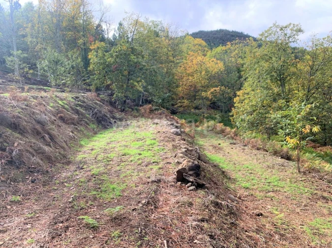 Terreno para Venda em Anreade e São Romão de Aregos Foto 5