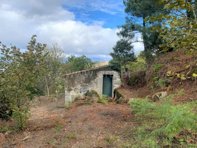 Terreno para Venda em Anreade e São Romão de Aregos Foto 7
