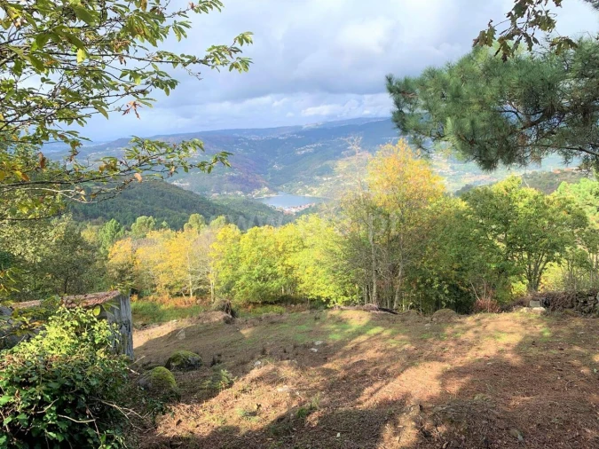 Terreno para Venda em Anreade e São Romão de Aregos Foto 9