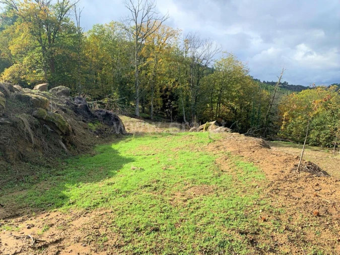 Terreno para Venda em Anreade e São Romão de Aregos Foto 14