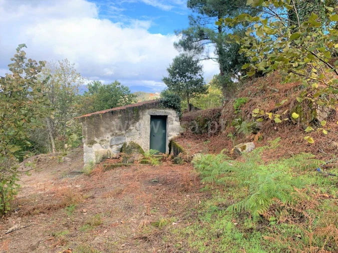 Terreno para Venda em Anreade e São Romão de Aregos Foto 4