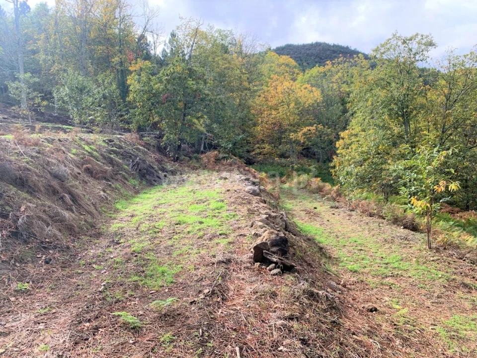 Terreno para Venda em Anreade e São Romão de Aregos Foto 5