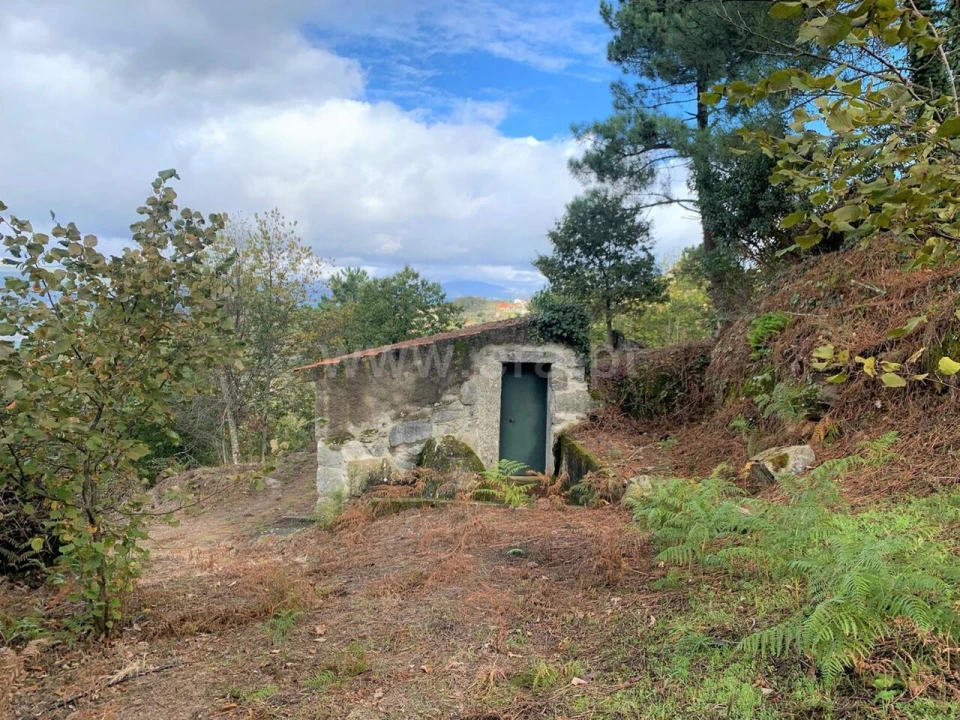 Terreno para Venda em Anreade e São Romão de Aregos Foto 7