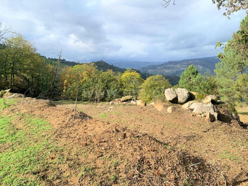 Terreno para Venda em Anreade e São Romão de Aregos Foto 1