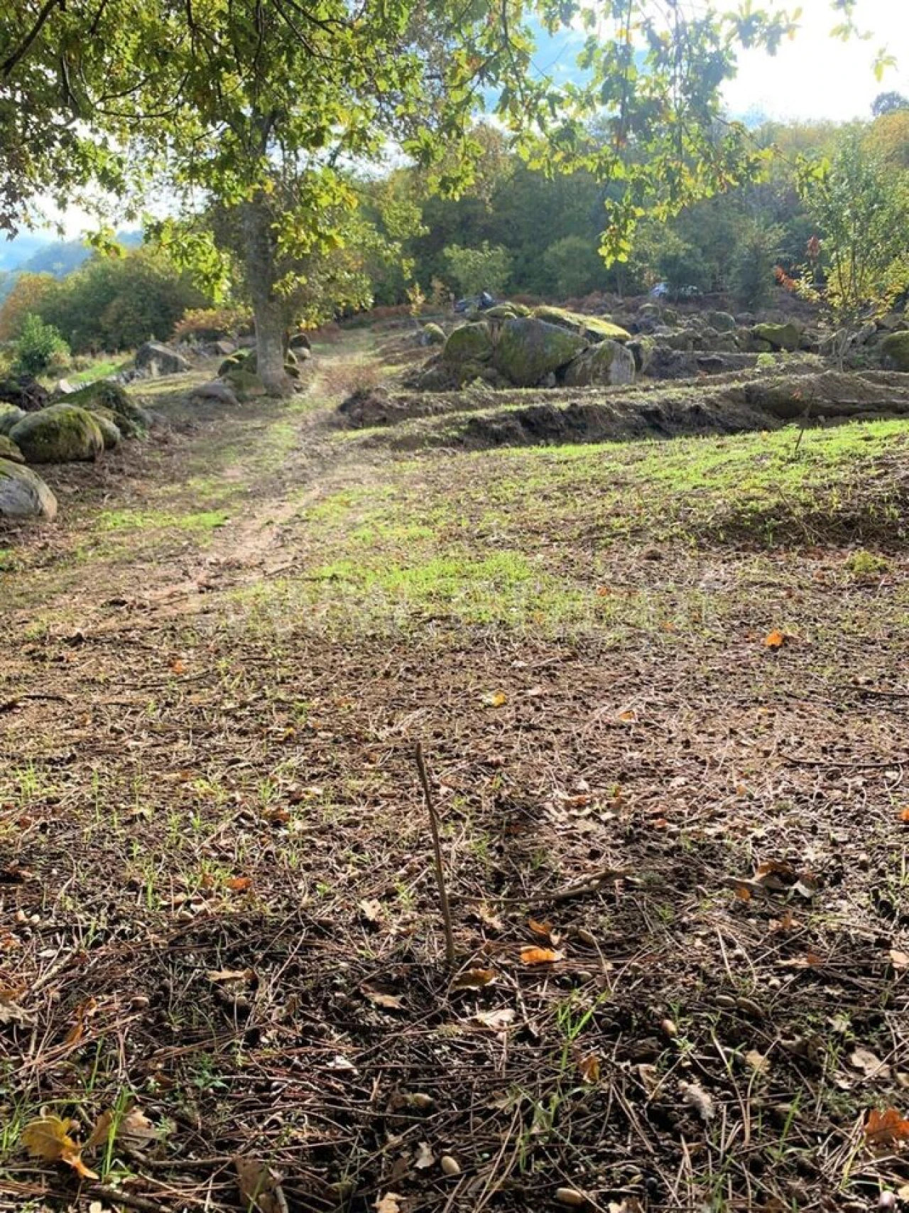 Terreno para Venda em Anreade e São Romão de Aregos Foto 2