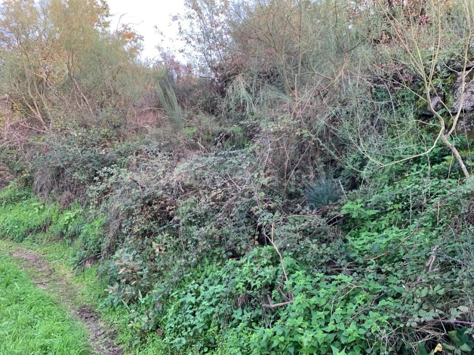 Terreno para Venda em Anreade e São Romão de Aregos Foto 2