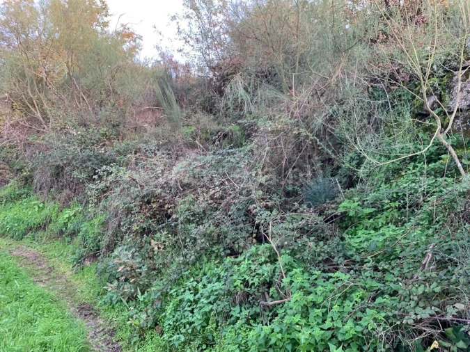 Terreno para Venda em Anreade e São Romão de Aregos Foto 2