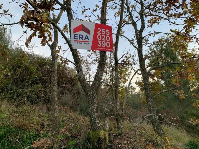 Terreno para Venda em Anreade e São Romão de Aregos Foto 1