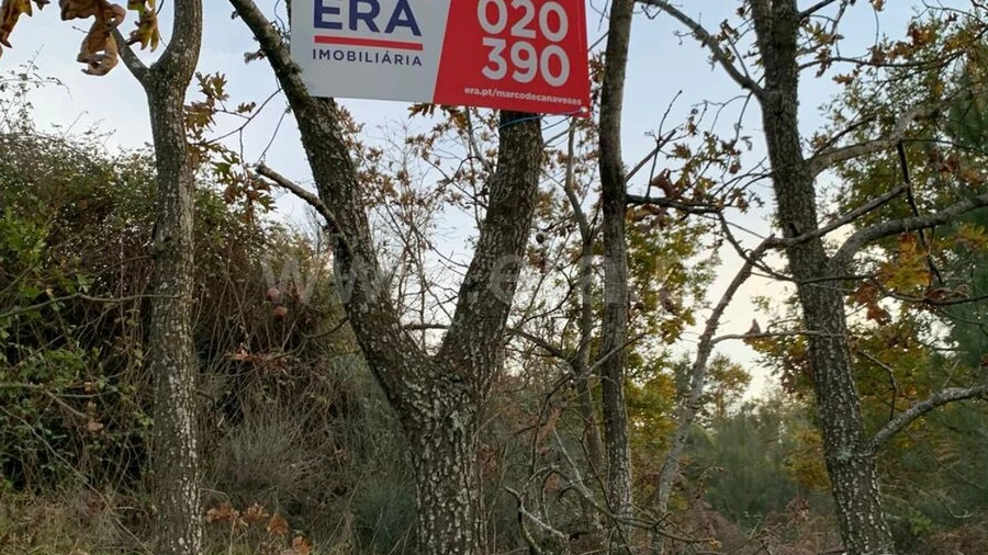 Terreno para Venda em Anreade e São Romão de Aregos