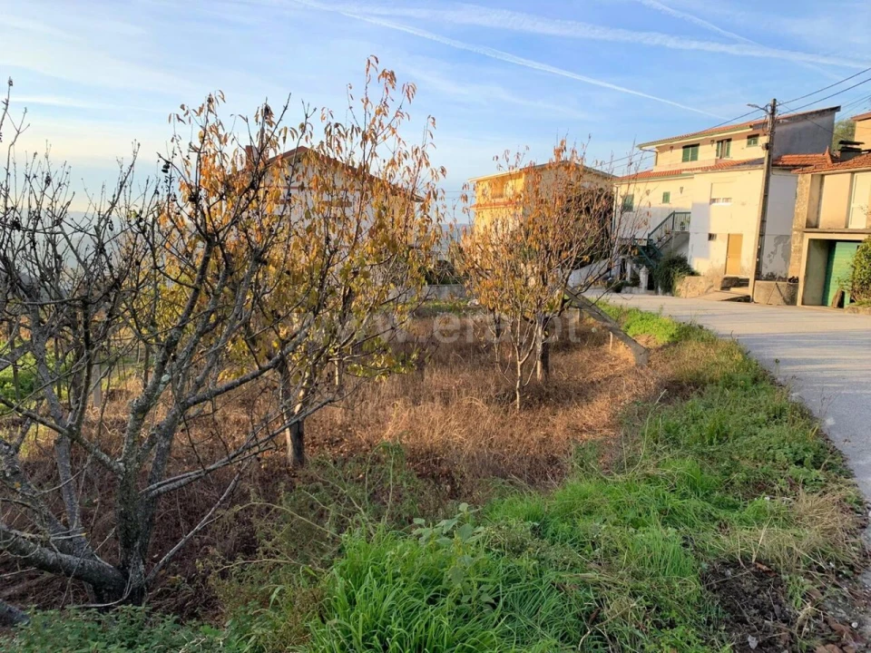 Terreno para Venda em Anreade e São Romão de Aregos Foto 2