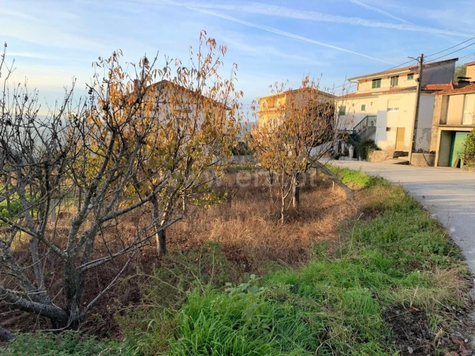 Terreno para Venda em Anreade e São Romão de Aregos Foto 2