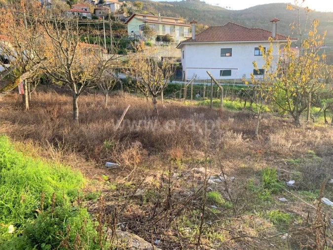 Terreno para Venda em Anreade e São Romão de Aregos Foto 3