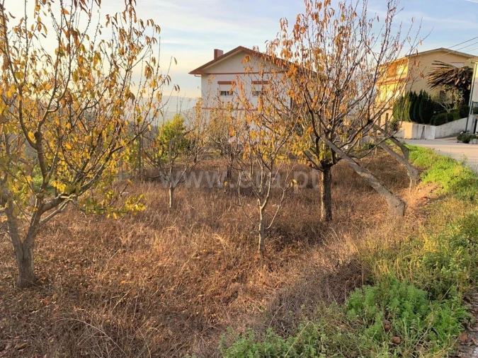 Terreno para Venda em Anreade e São Romão de Aregos