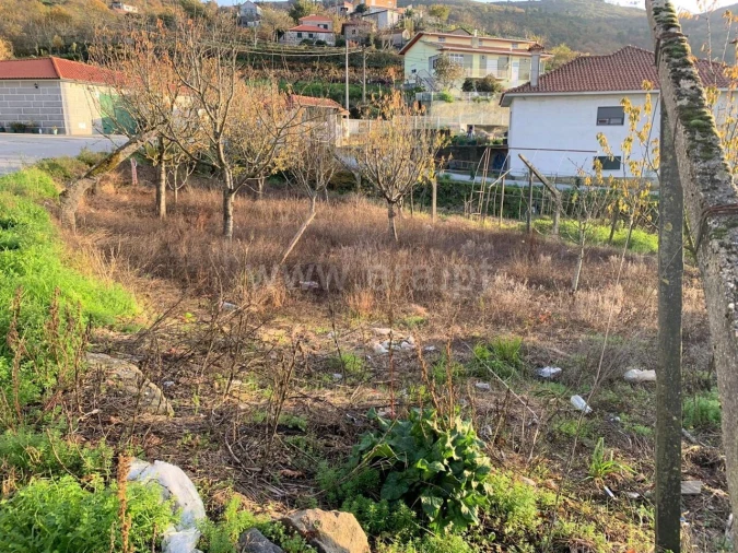 Terreno para Venda em Anreade e São Romão de Aregos Foto 7