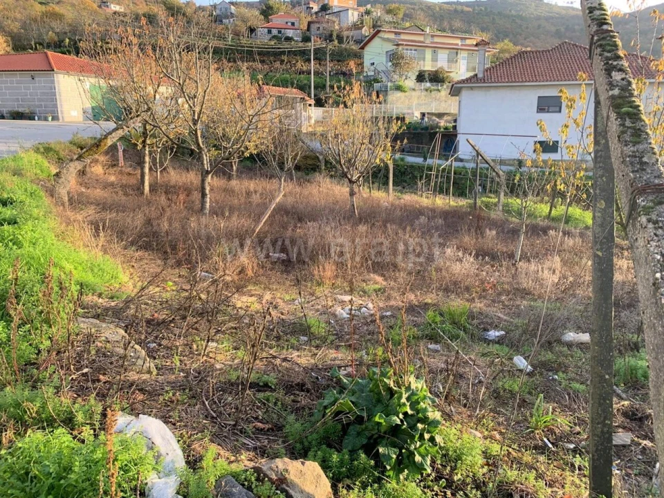 Terreno para Venda em Anreade e São Romão de Aregos Foto 7