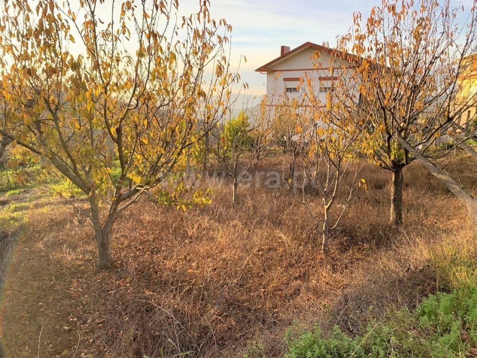 Terreno para Venda em Anreade e São Romão de Aregos Foto 6