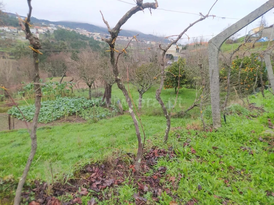 Terreno para Venda em Campelo e Ovil Foto 5