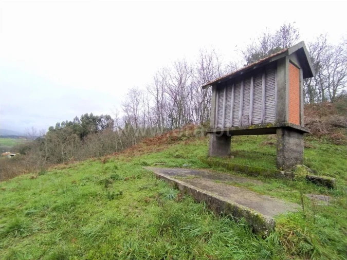 Terreno para Venda em Campelo e Ovil Foto 9