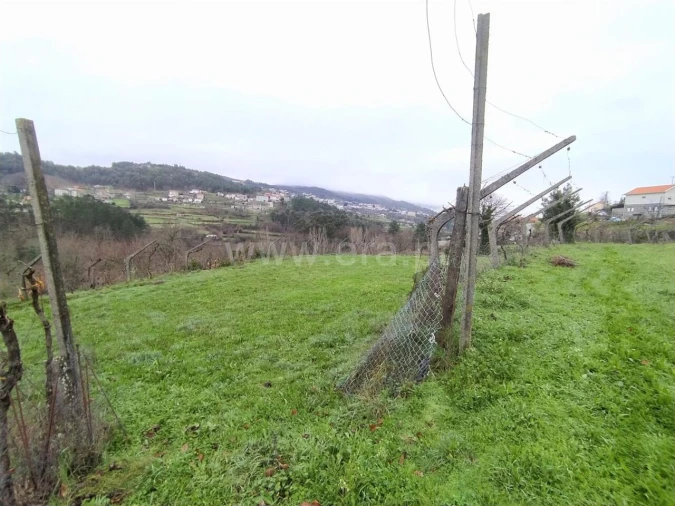Terreno para Venda em Campelo e Ovil Foto 7