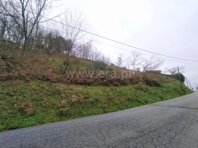Terreno para Venda em Campelo e Ovil Foto 4