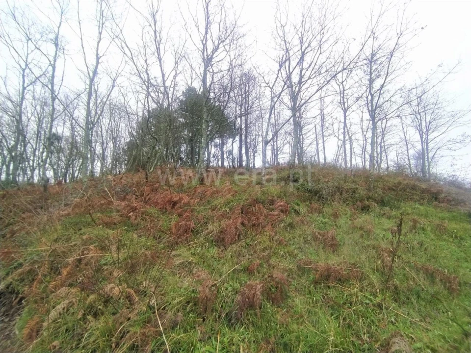 Terreno para Venda em Campelo e Ovil Foto 1