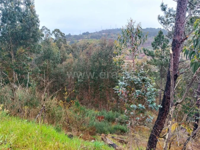 Terreno para Venda em Campelo e Ovil Foto 7