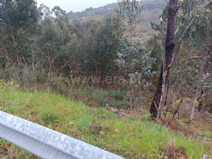 Terreno para Venda em Campelo e Ovil Foto 6
