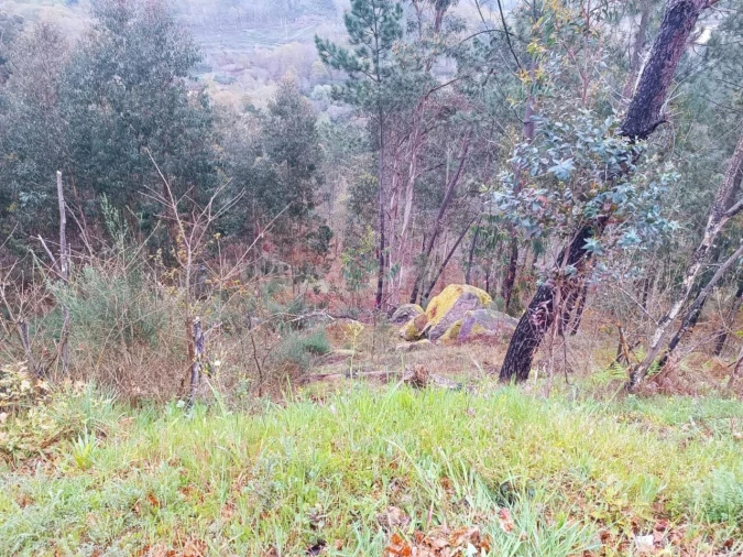 Terreno para Venda em Campelo e Ovil Foto 3