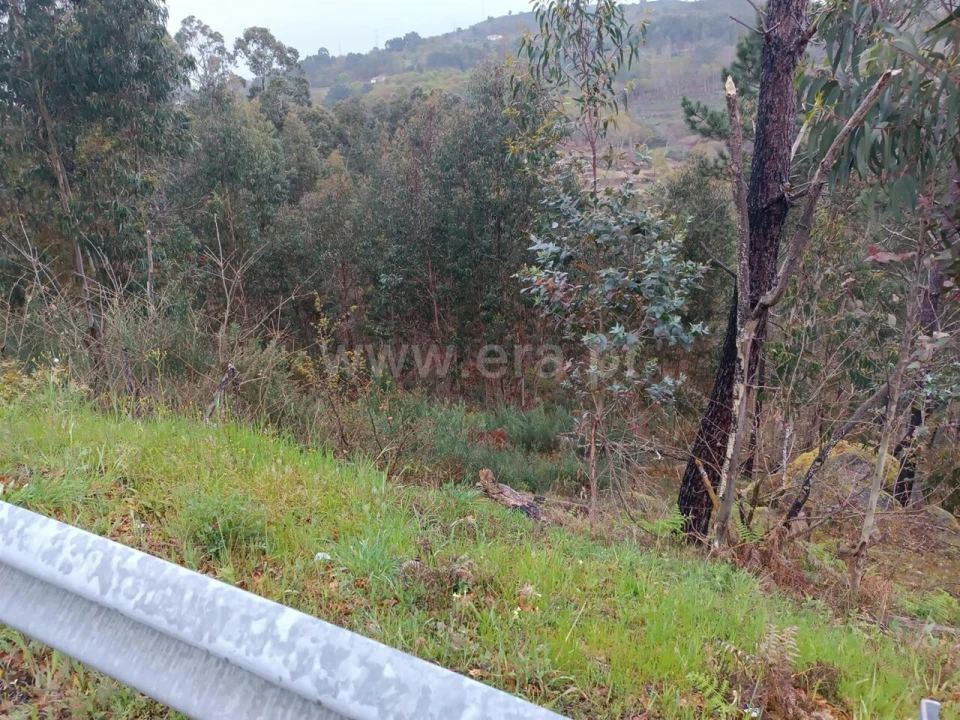 Terreno para Venda em Campelo e Ovil Foto 6