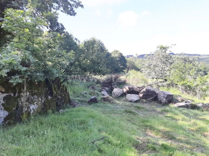Terreno para Venda em Campelo e Ovil Foto 5