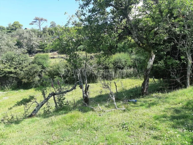 Terreno para Venda em Campelo e Ovil Foto 7