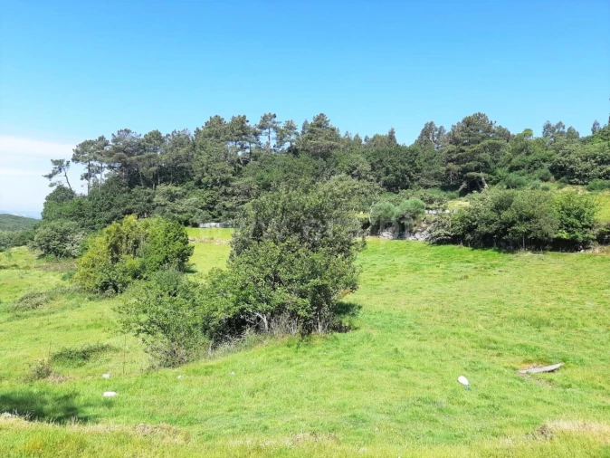 Terreno para Venda em Campelo e Ovil Foto 2